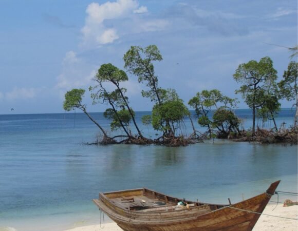 Experience Andaman (4N/5D)