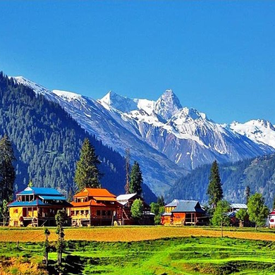 Kashmir 